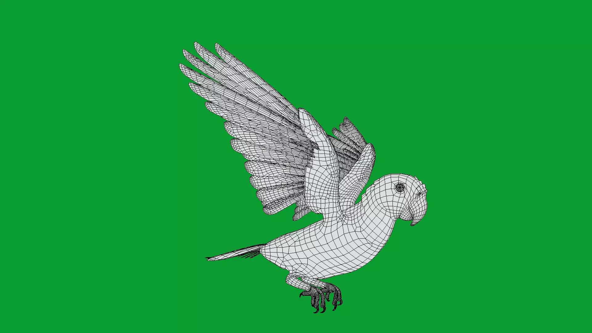 Yellow Crowned Amazon Parrot Bird Low-poly 3D model_24