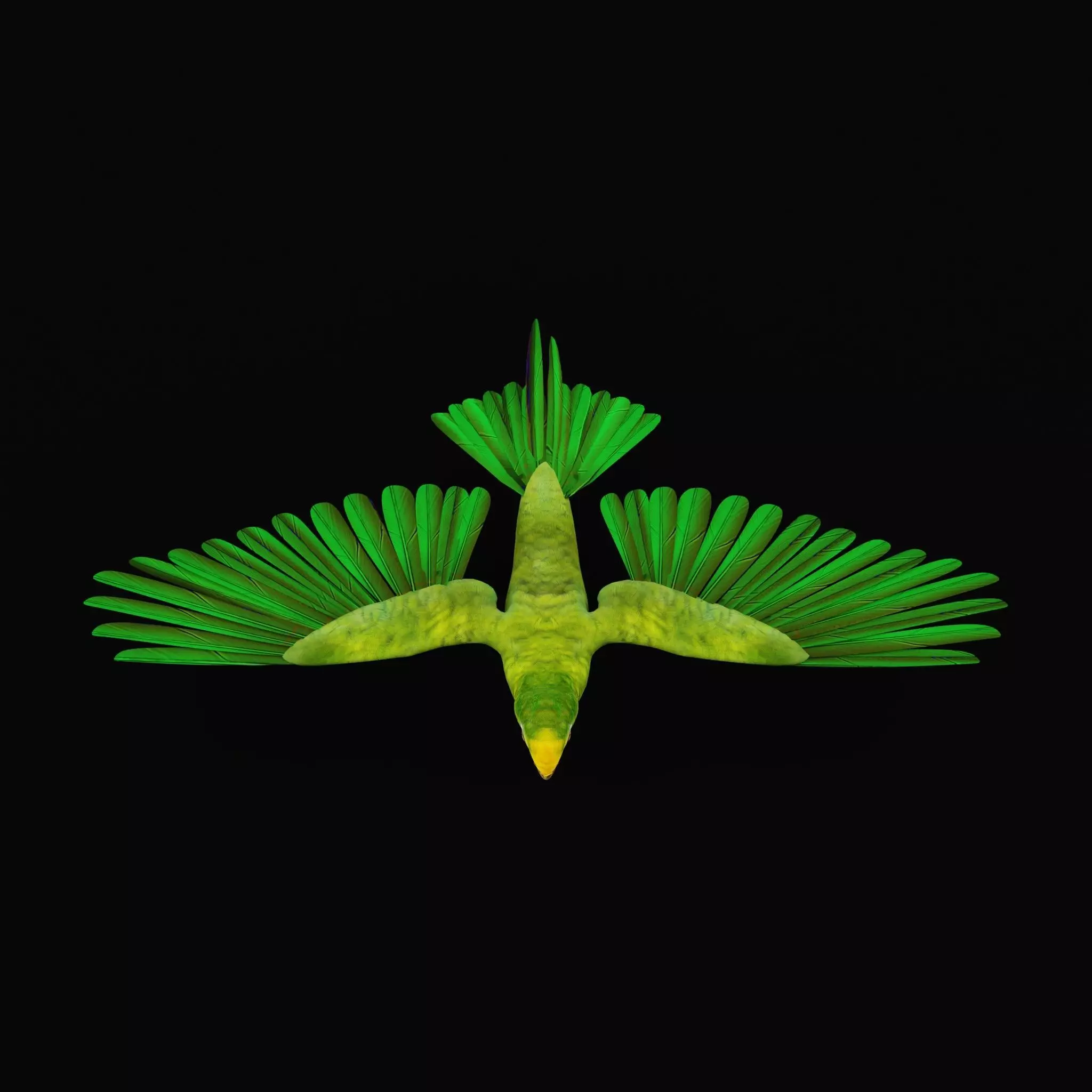 Yellow Crowned Amazon Parrot Bird Low-poly 3D model_18