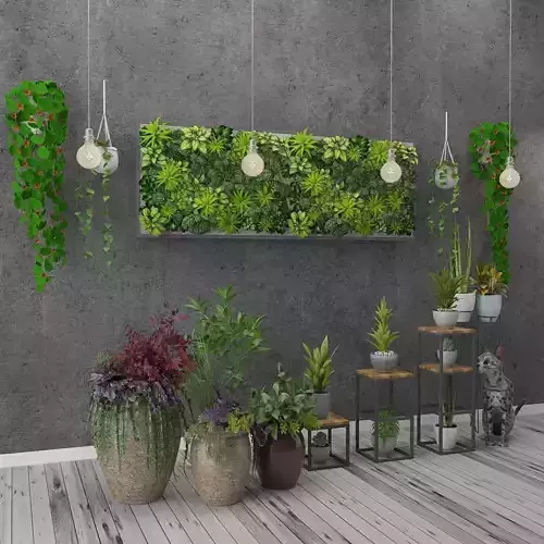 Potted Plant Collection