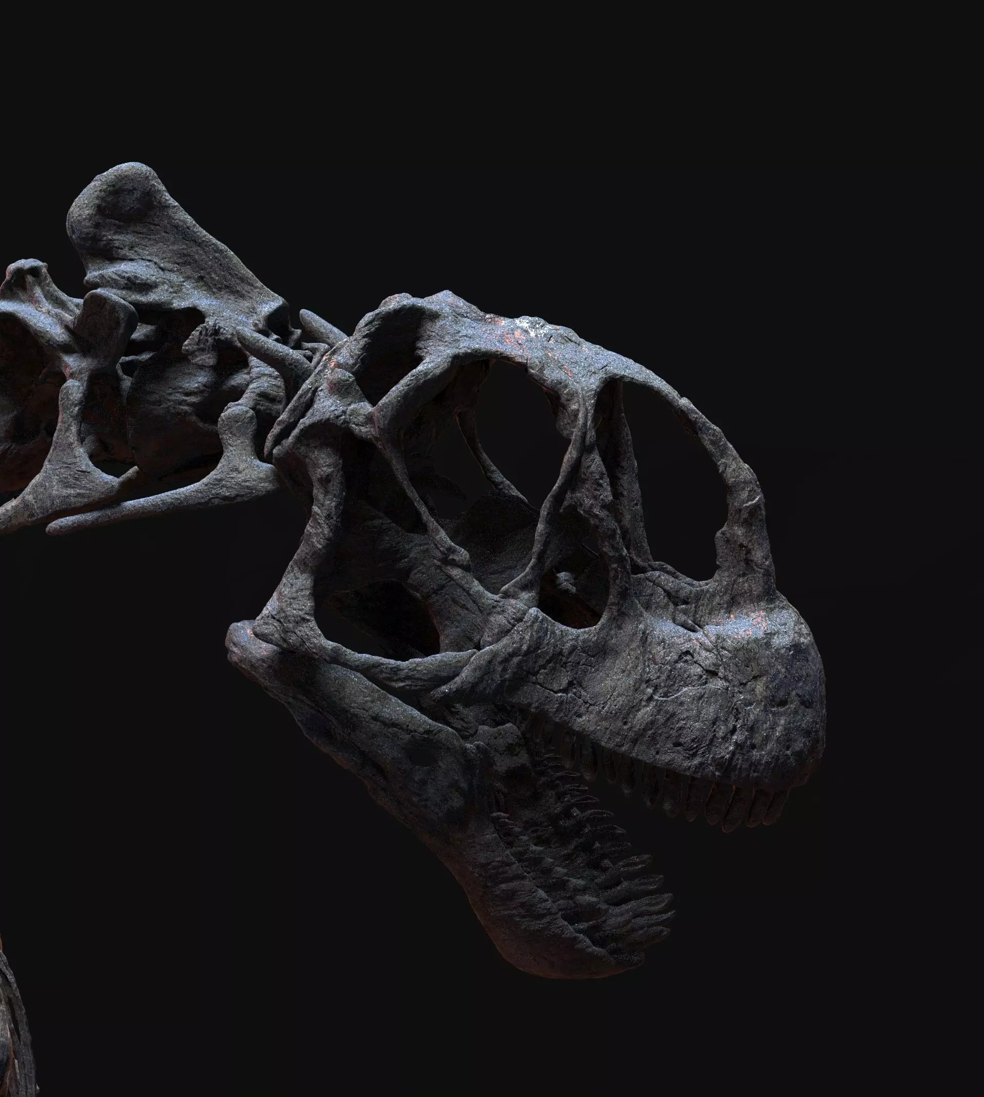 CAMARASAURUS SKELETON 3D print model_2