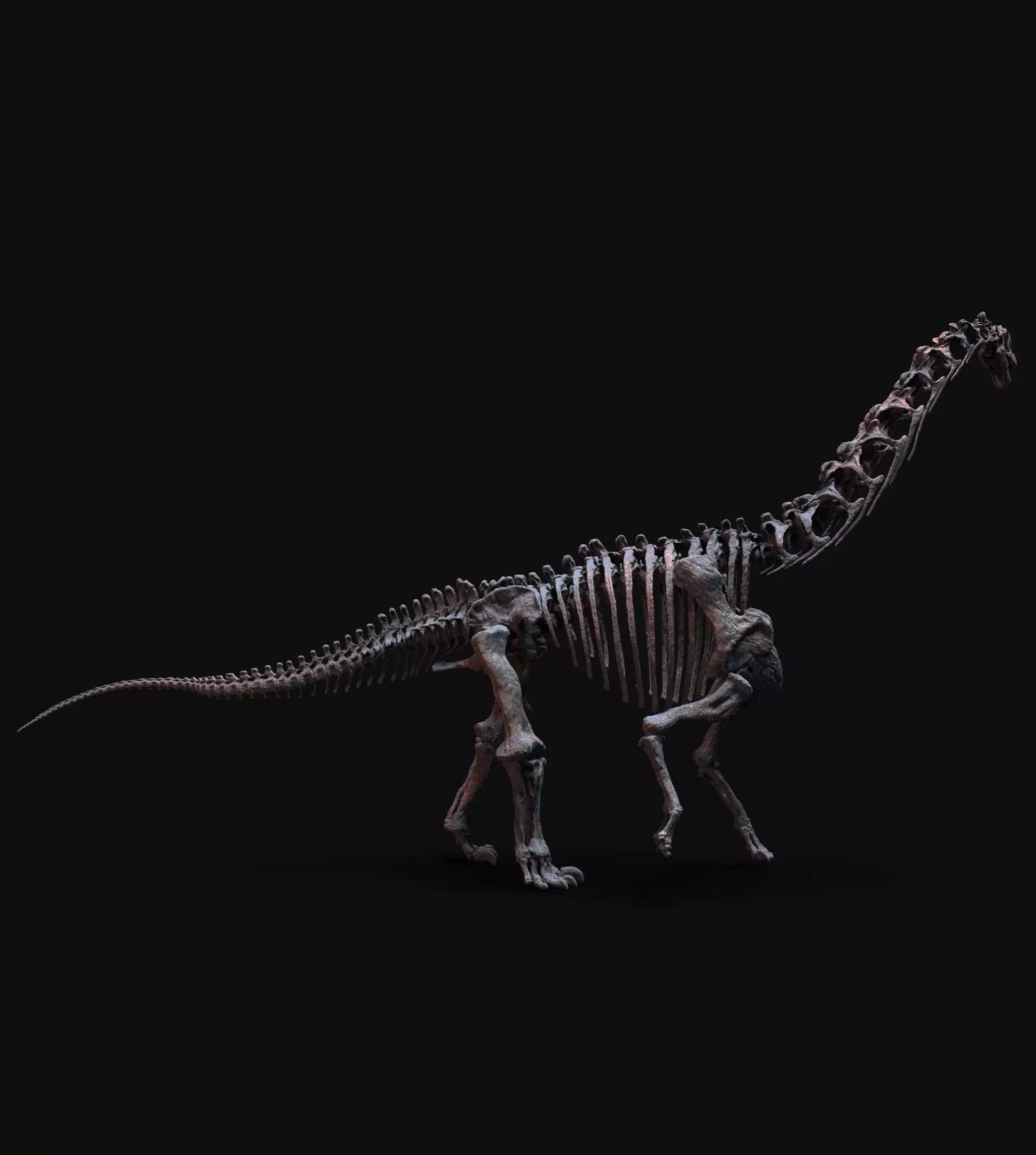 CAMARASAURUS SKELETON 3D print model_0