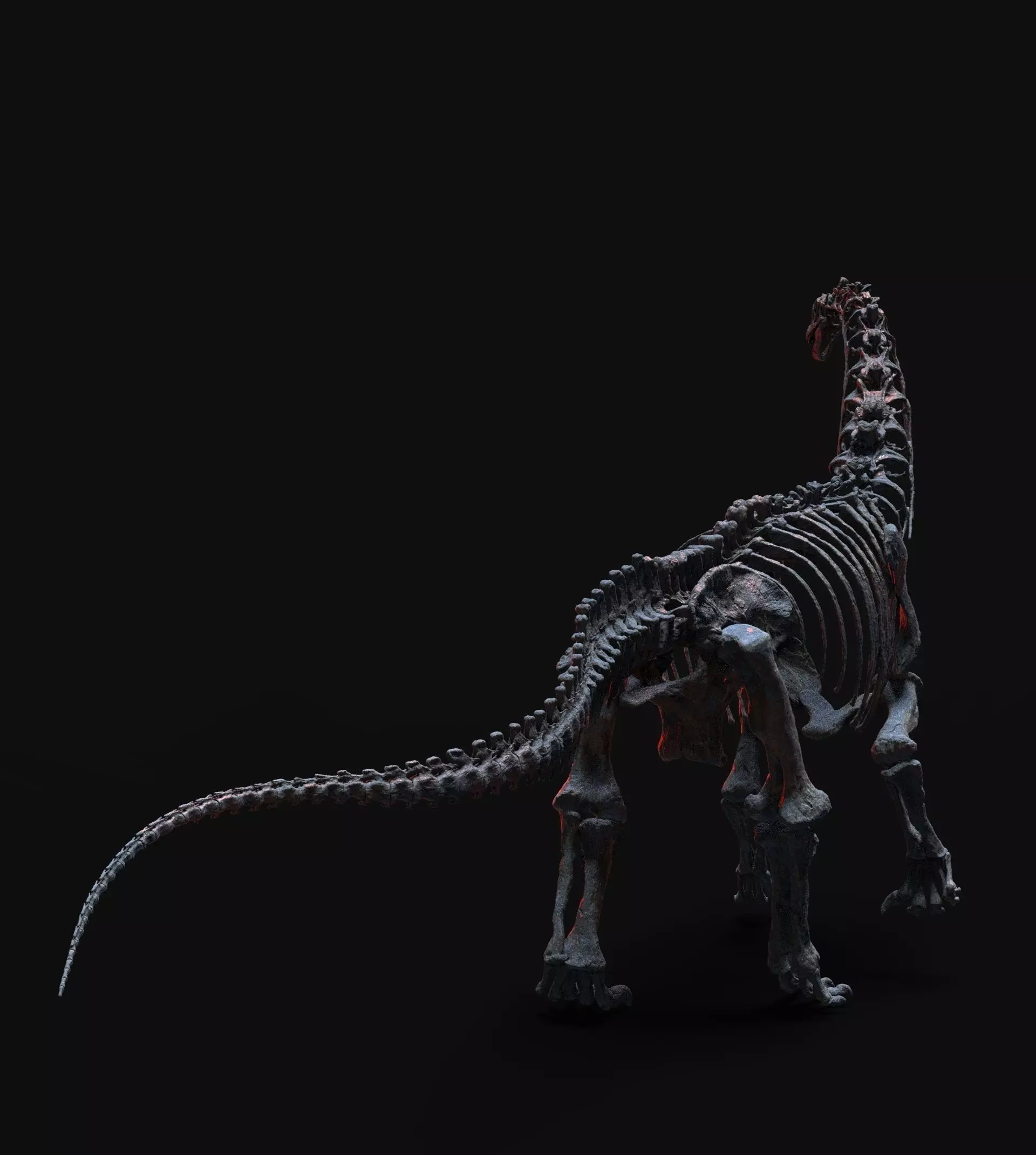 CAMARASAURUS SKELETON 3D print model_6
