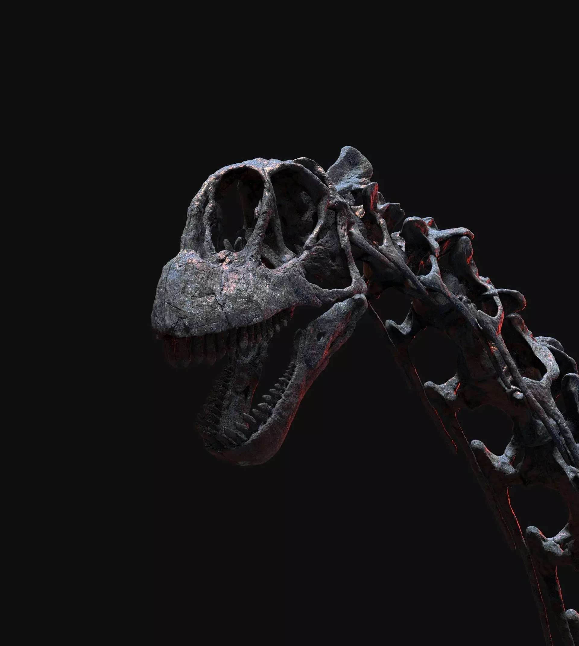 CAMARASAURUS SKELETON 3D print model_9