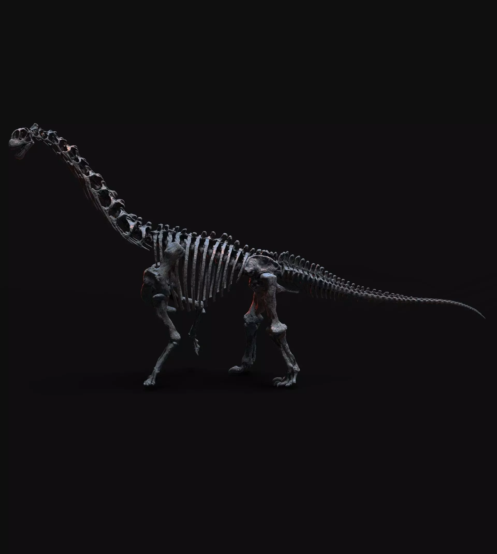 CAMARASAURUS SKELETON 3D print model_1