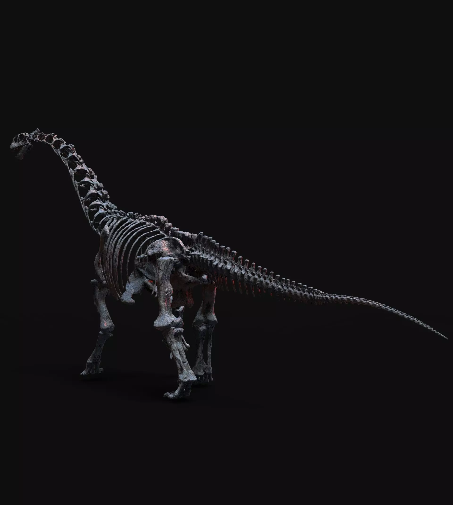 CAMARASAURUS SKELETON 3D print model_7