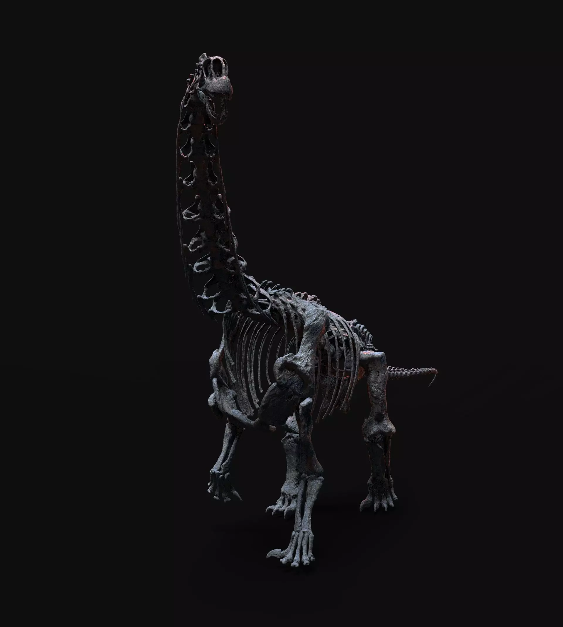 CAMARASAURUS SKELETON 3D print model_4