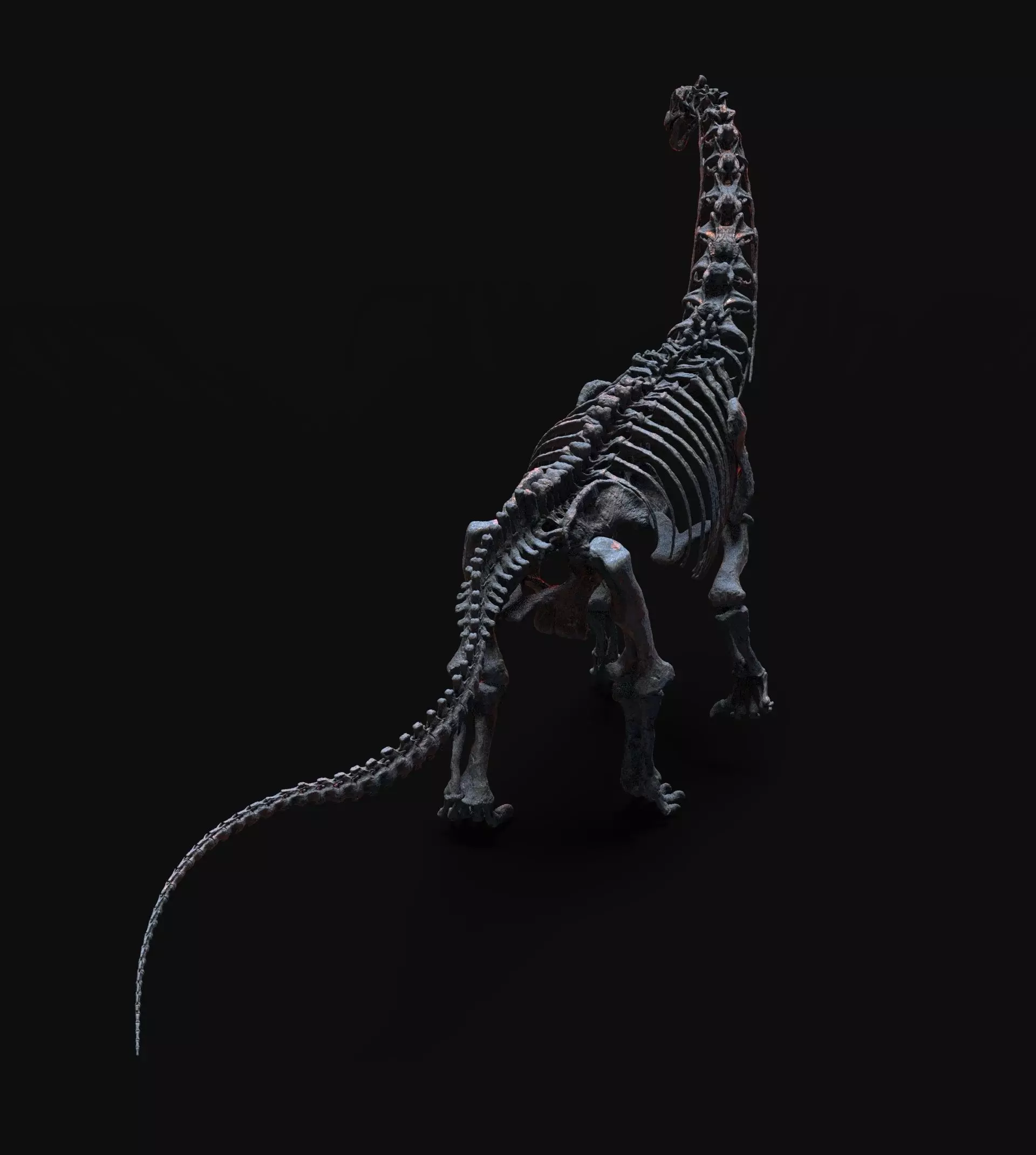CAMARASAURUS SKELETON 3D print model_3