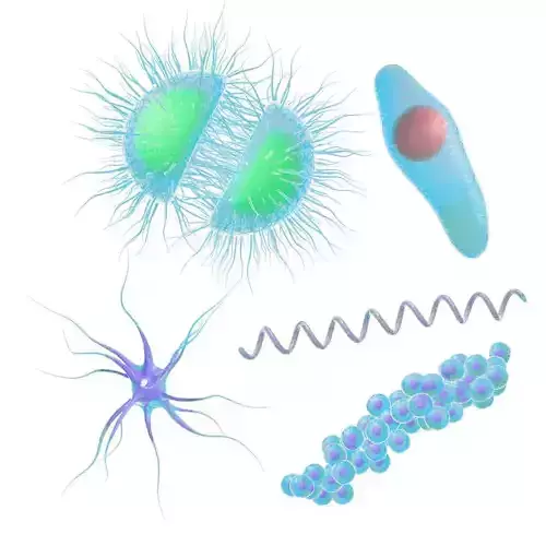 Animated microbes 21-25