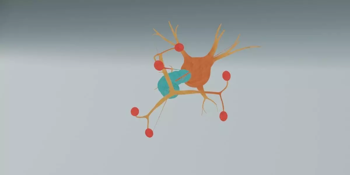 Realistic Neuron Cell 3D Model Detailed Nerve Cell Anatomy 3D model_5