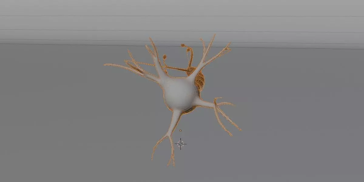 Realistic Neuron Cell 3D Model Detailed Nerve Cell Anatomy 3D model_15