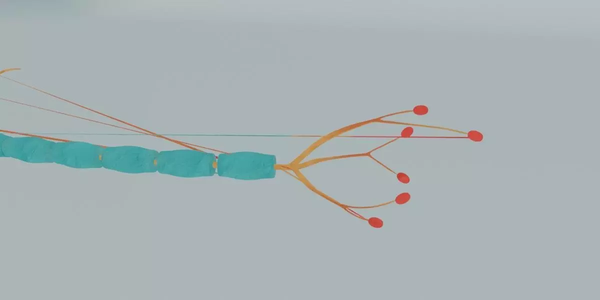 Realistic Neuron Cell 3D Model Detailed Nerve Cell Anatomy 3D model_6
