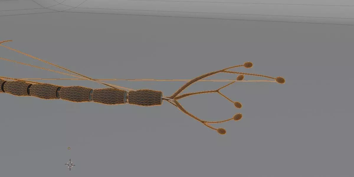 Realistic Neuron Cell 3D Model Detailed Nerve Cell Anatomy 3D model_14