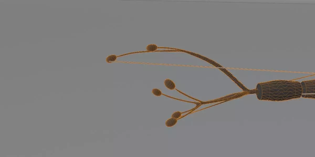 Realistic Neuron Cell 3D Model Detailed Nerve Cell Anatomy 3D model_12