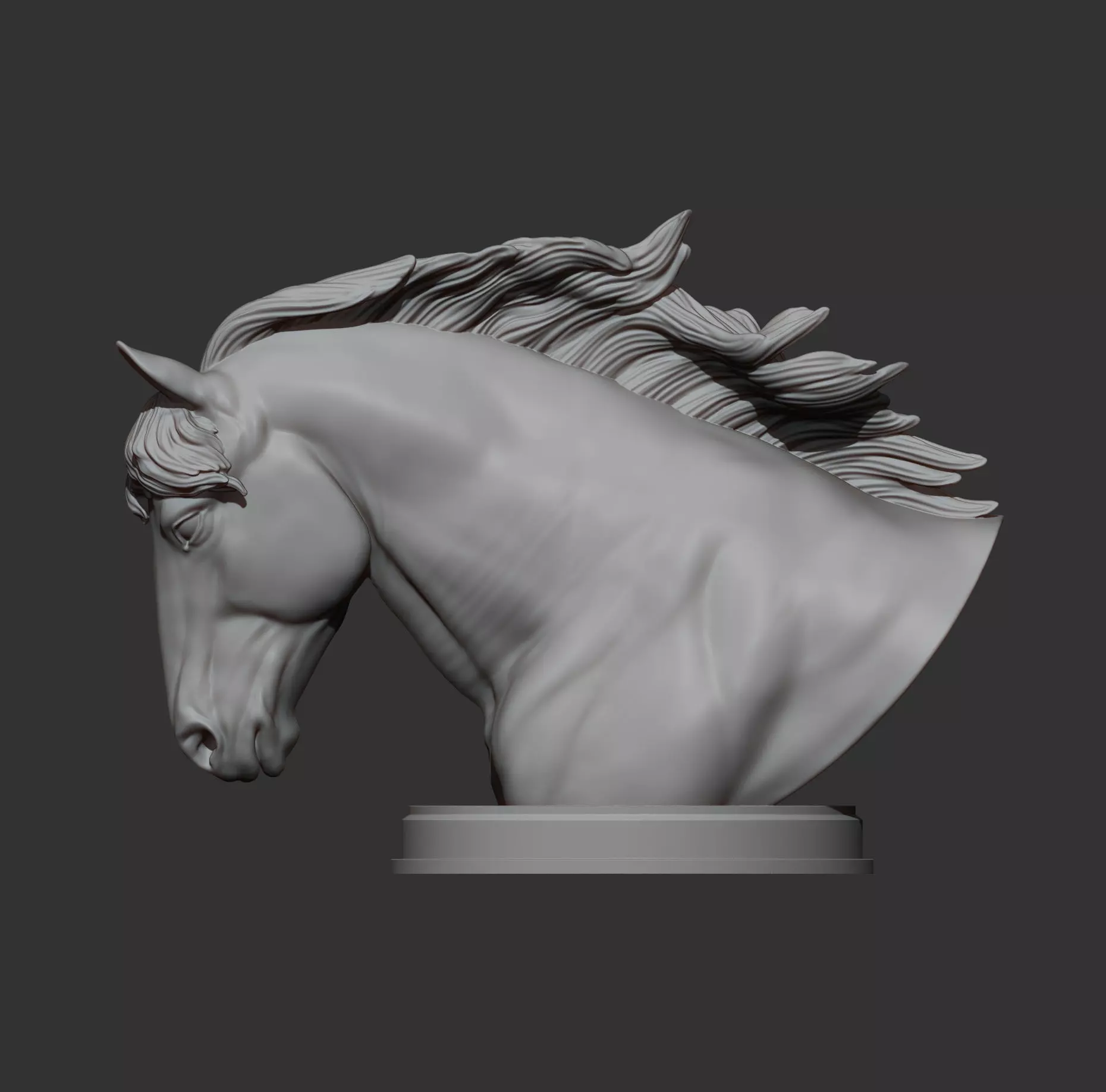 Percheron bust 3D print model_8