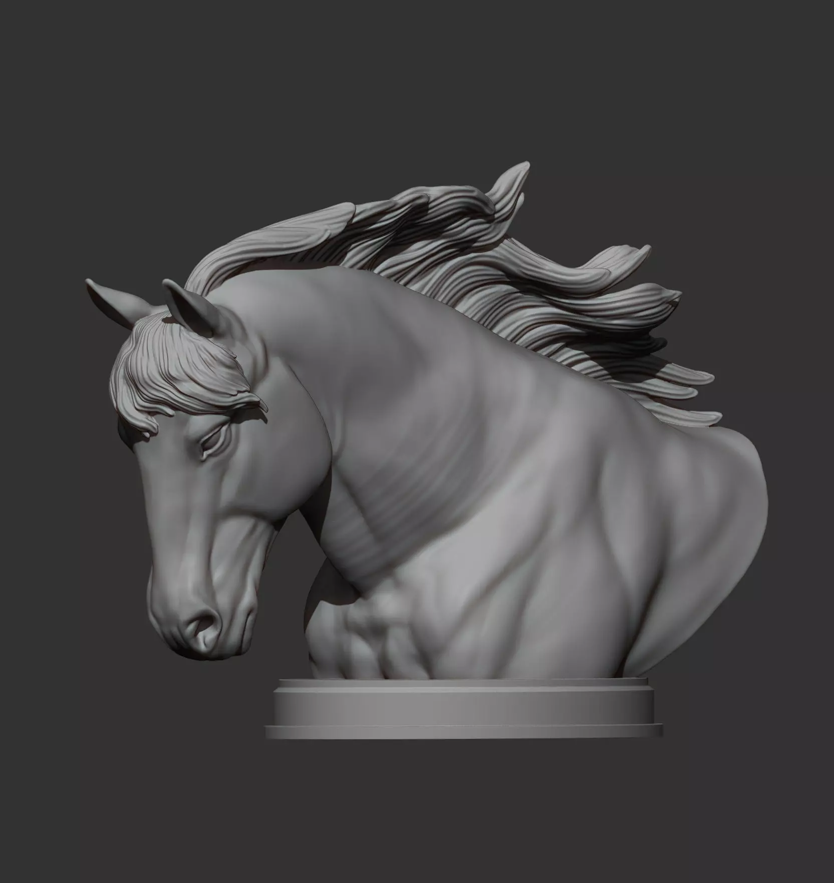Percheron bust 3D print model_7