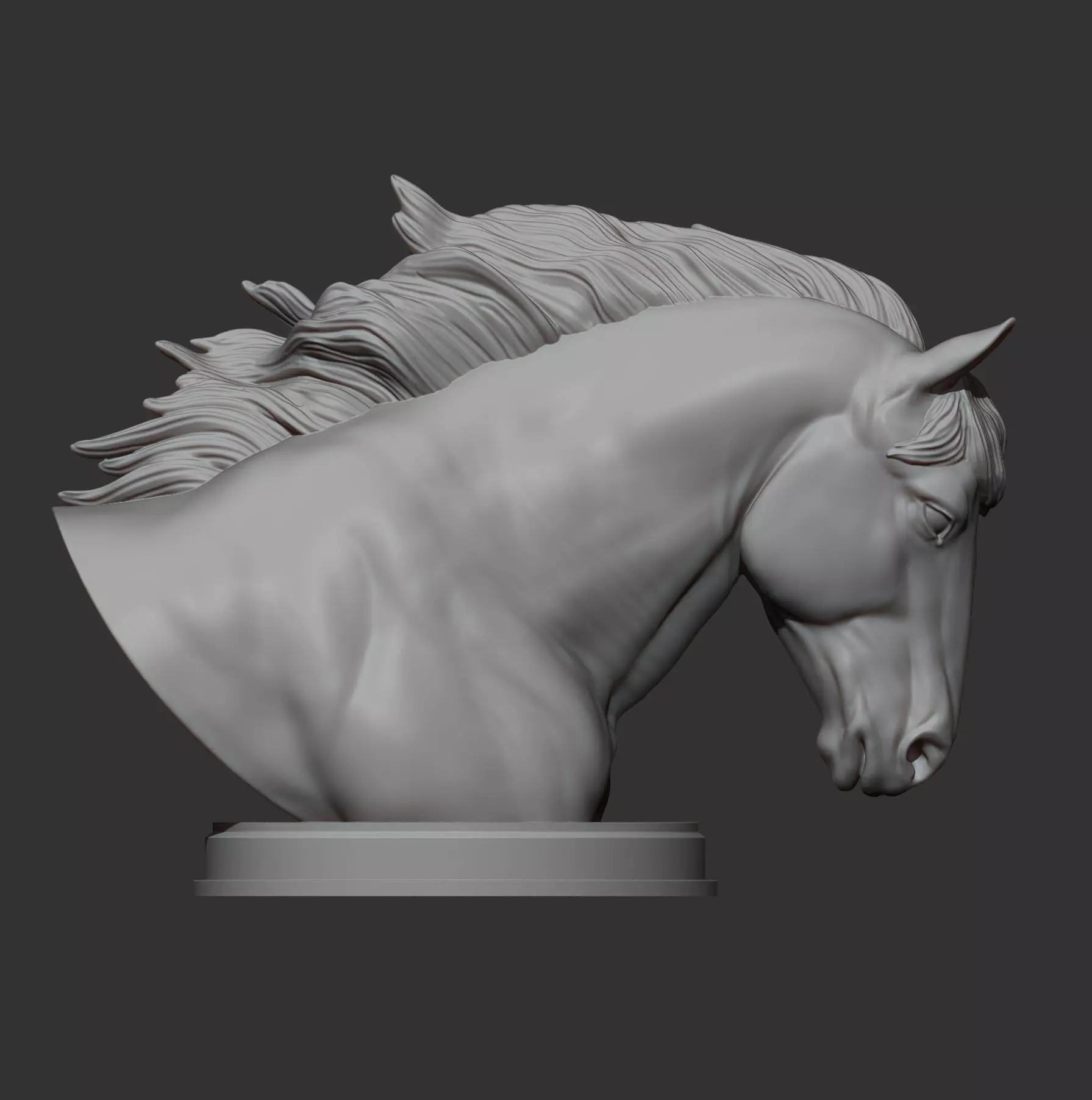Percheron bust 3D print model_4