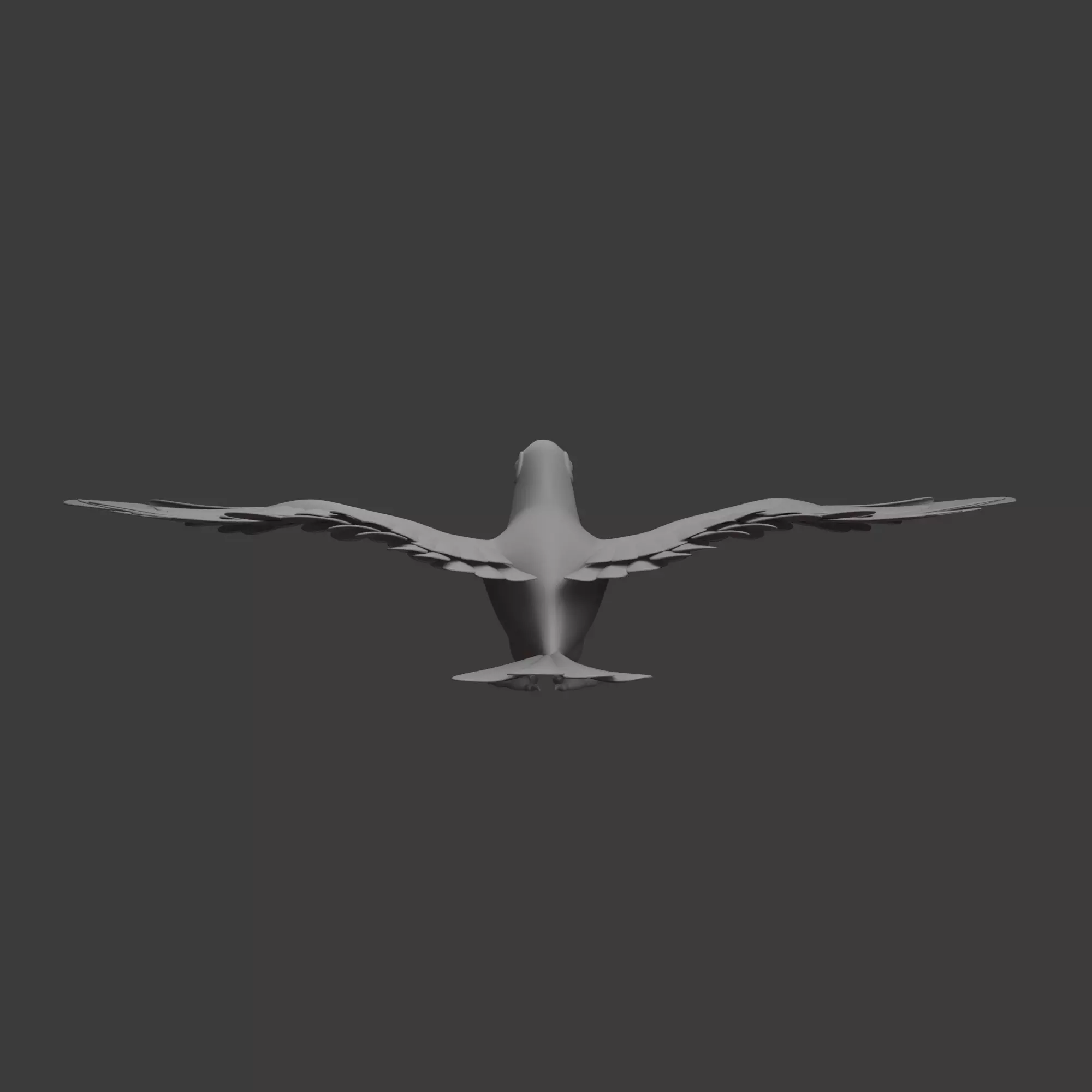 Toucan cartoon 3D model_9