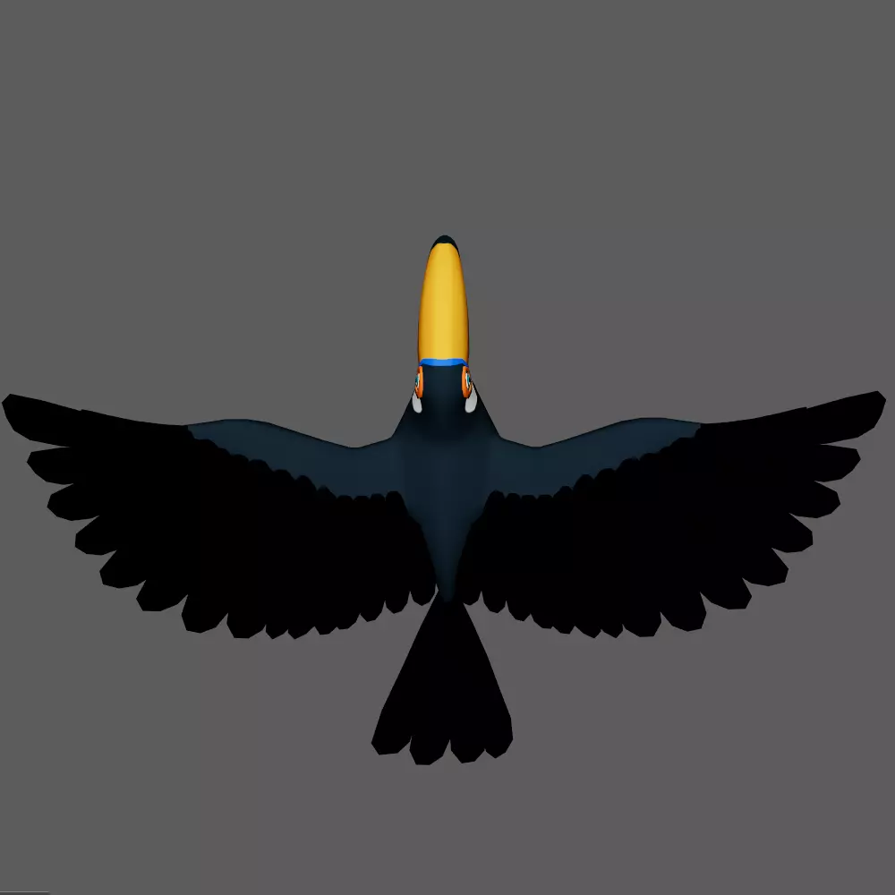 Toucan cartoon 3D model_15