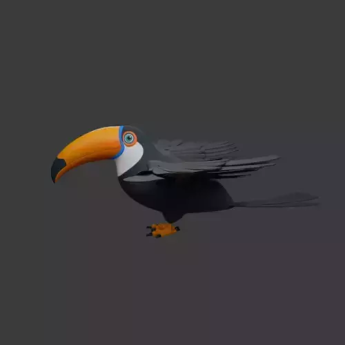Toucan cartoon 3D model