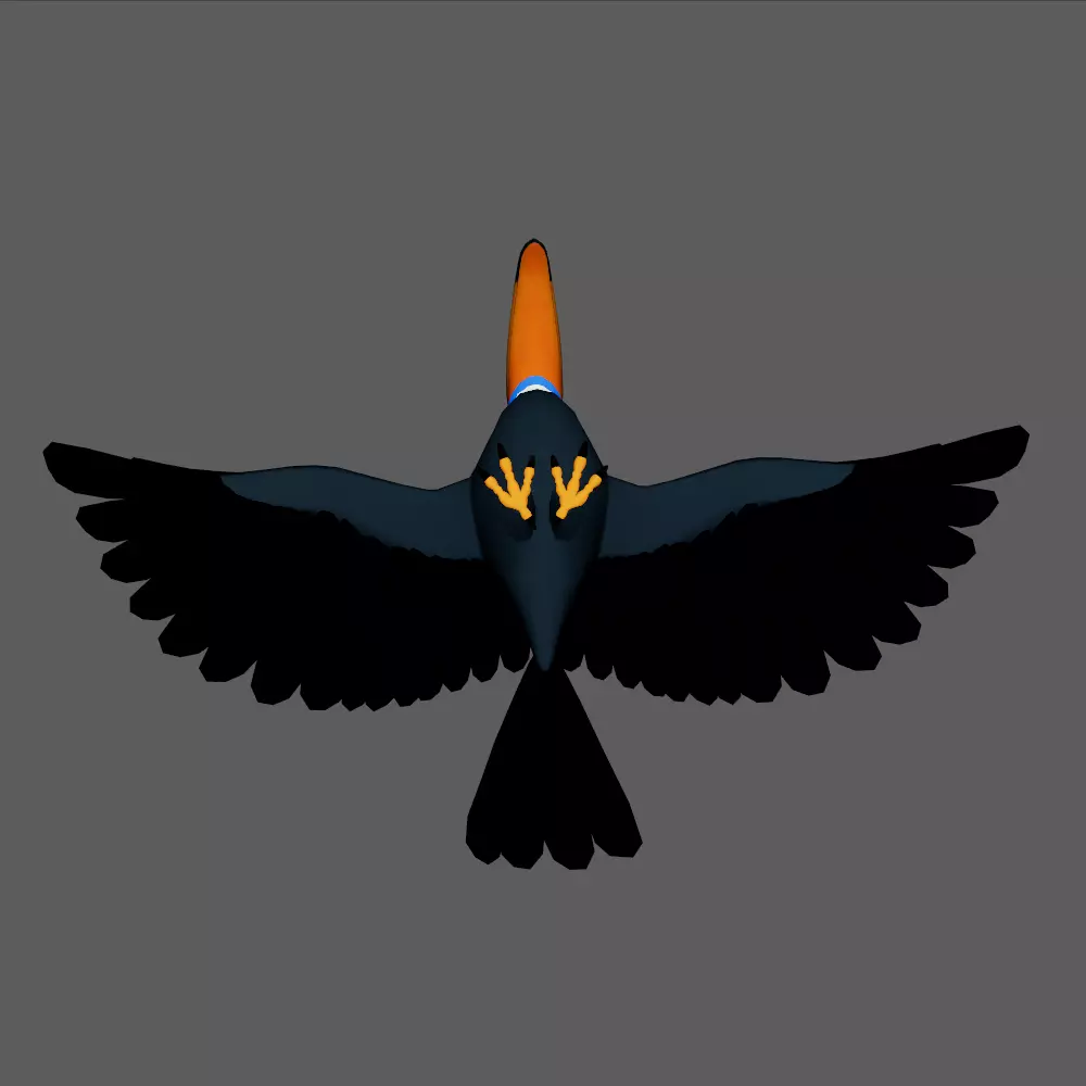 Toucan cartoon 3D model_16