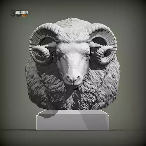 ram bust