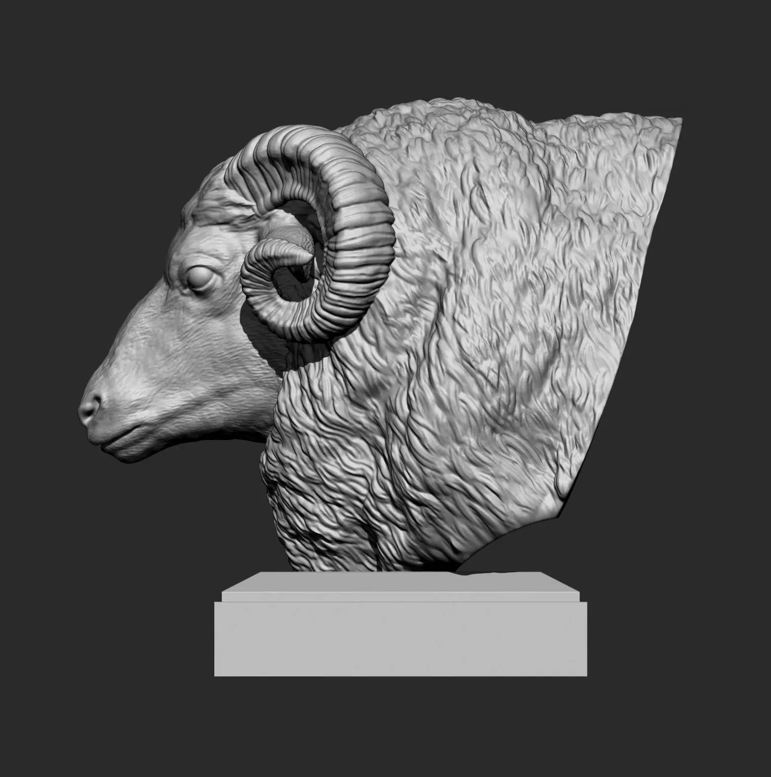 ram bust 3D print model_5
