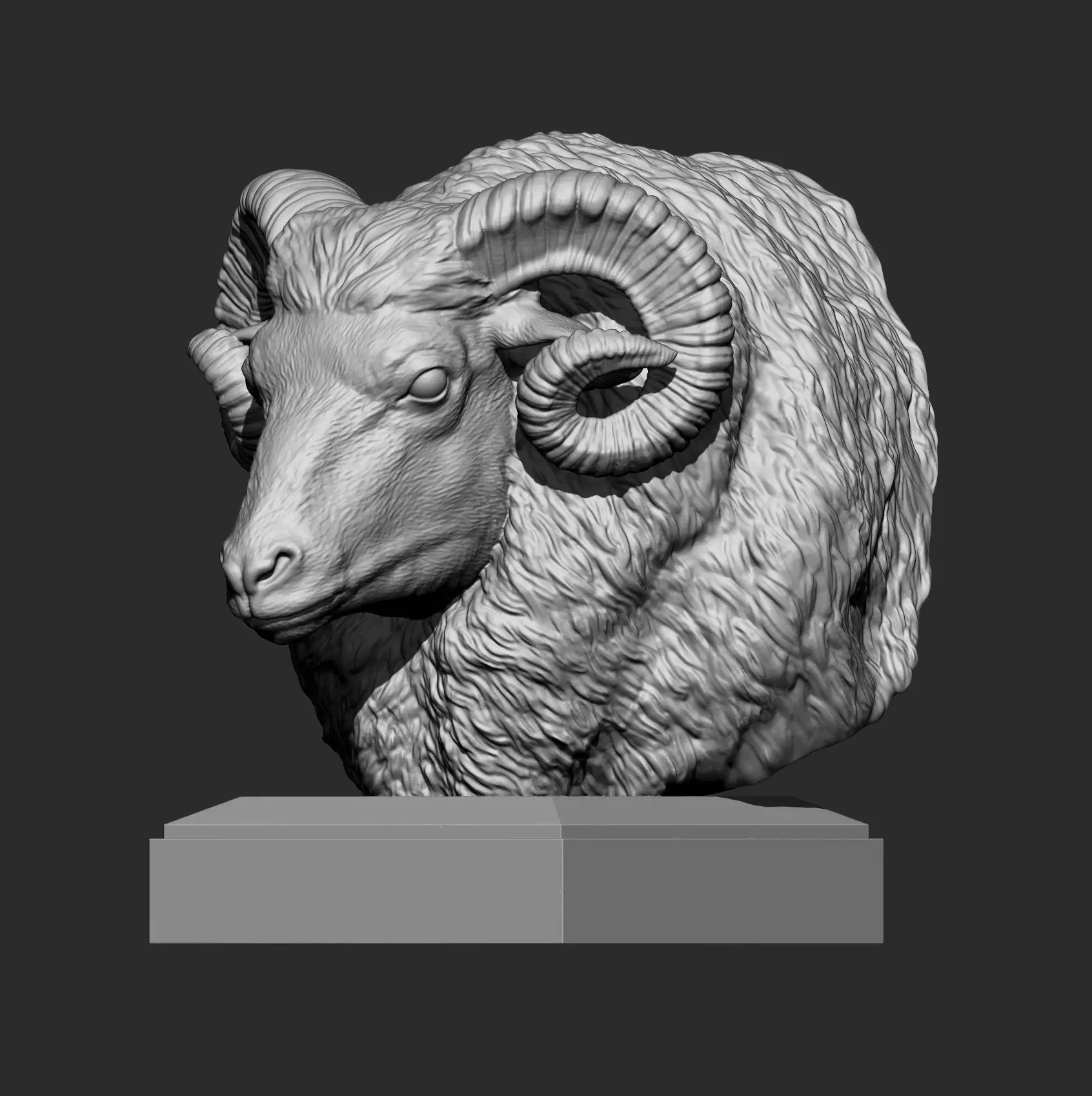 ram bust 3D print model_4