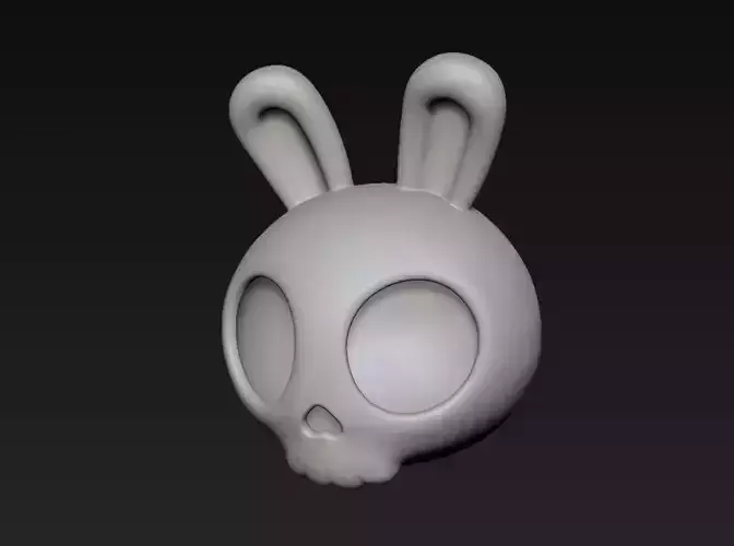Rabbit Skull