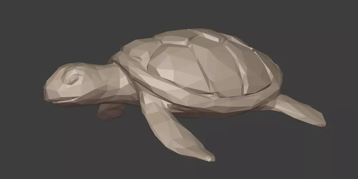 Low Poly Sea Turtle Free 3D model_2