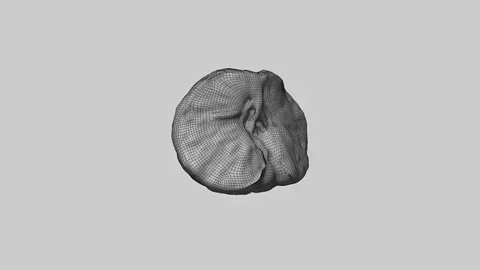 Half Mandarin Piece 3D model 6