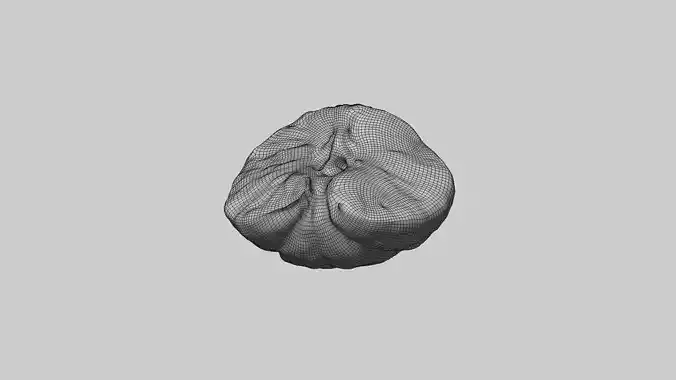 Half Mandarin Piece 3D model 7
