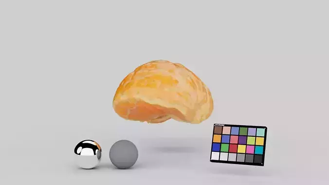 Half Mandarin Piece 3D model 5