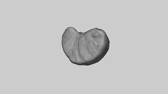 Mandarin Wedge Piece 3D model 6