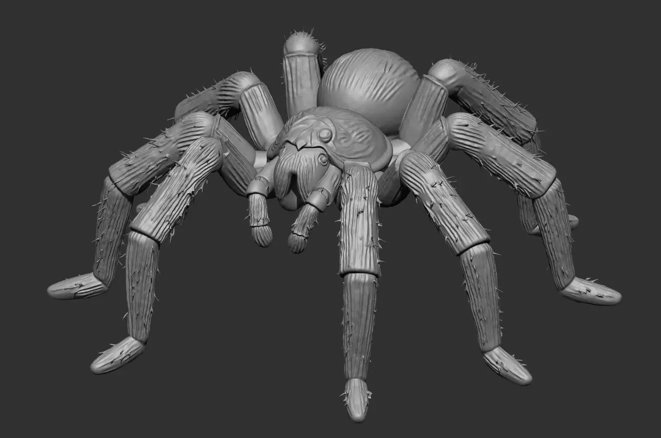 Tarantula Spider 100mm resin miniature-pre supported 3D print model_6