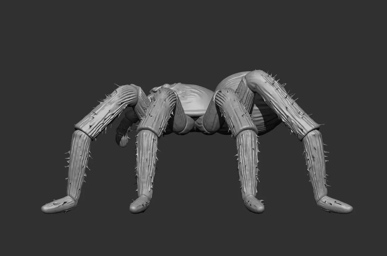 Tarantula Spider 100mm resin miniature-pre supported 3D print model_3