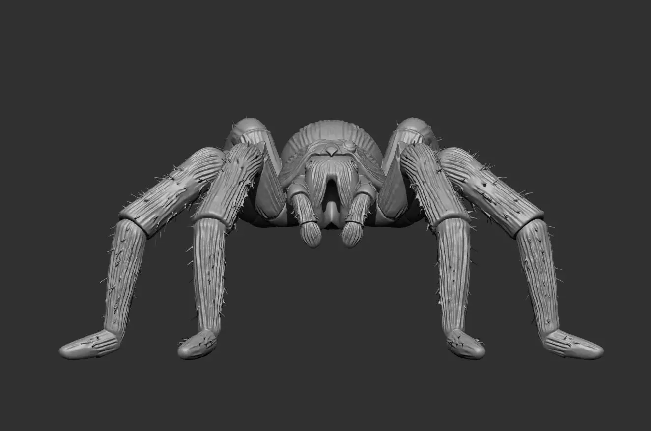 Tarantula Spider 100mm resin miniature-pre supported 3D print model_1