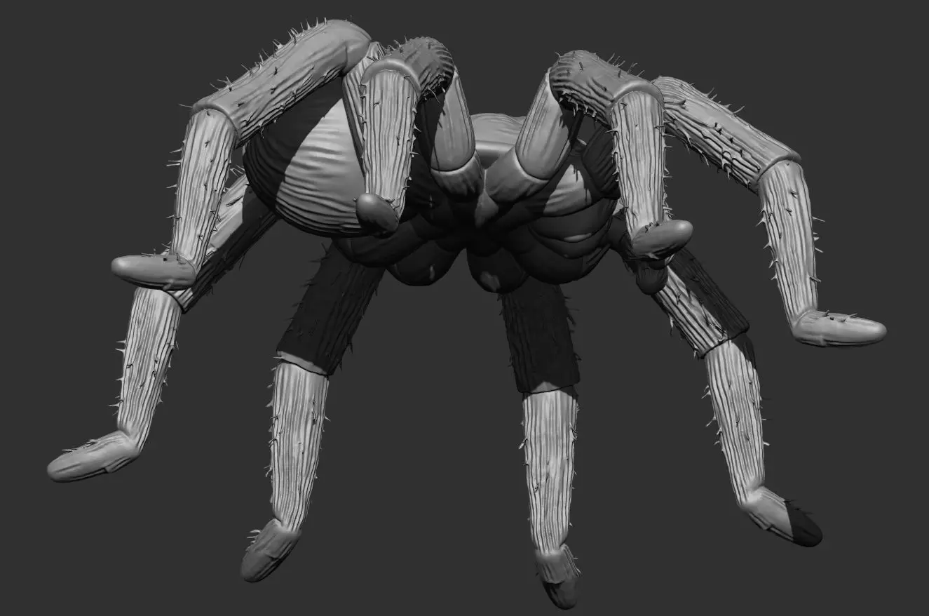Tarantula Spider 100mm resin miniature-pre supported 3D print model_9
