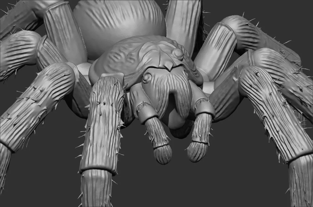 Tarantula Spider 100mm resin miniature-pre supported 3D print model_0