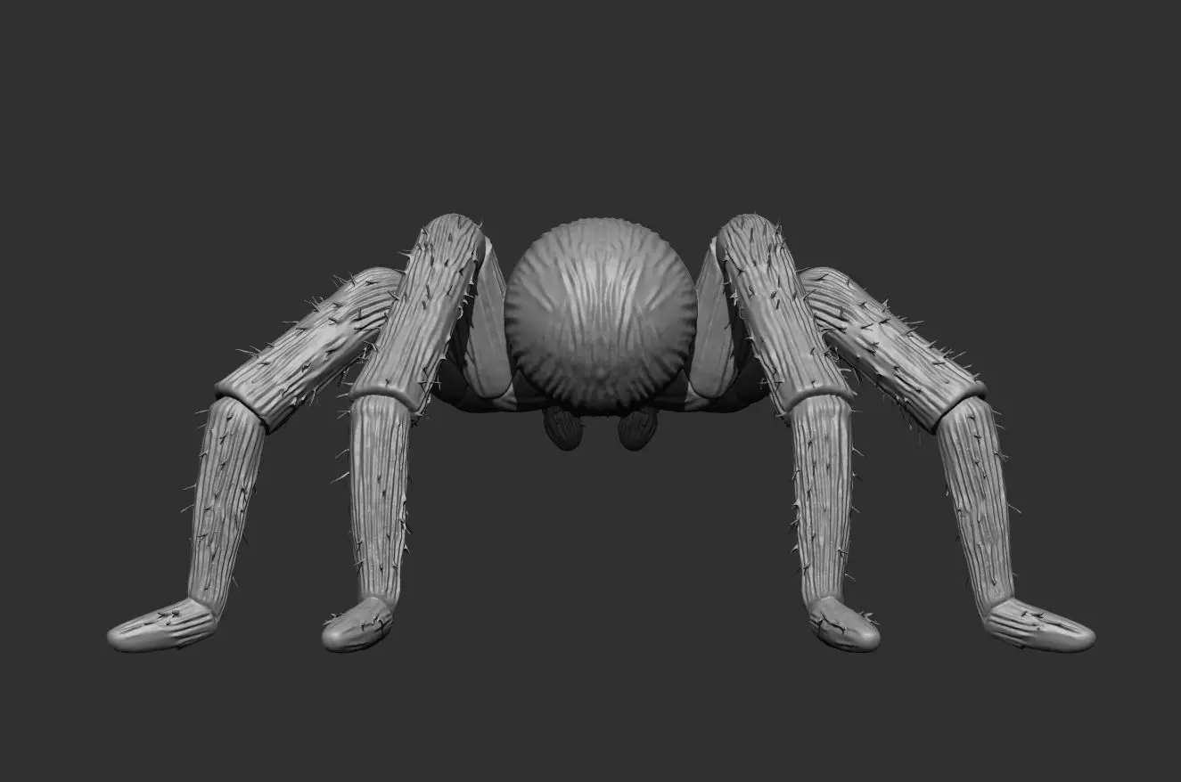Tarantula Spider 100mm resin miniature-pre supported 3D print model_5