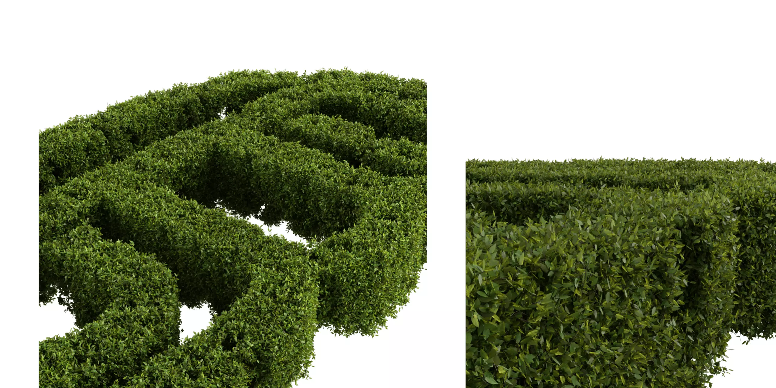Cut Hedge 1m Free low-poly 3D model_0