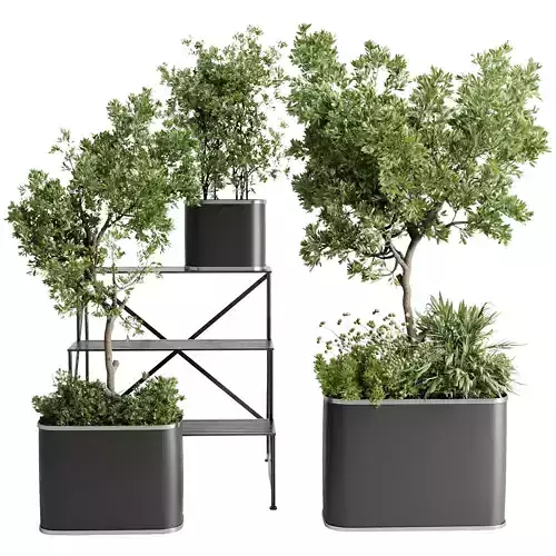 collection Indoor outdoor plant 692 plant stairs stand metal 