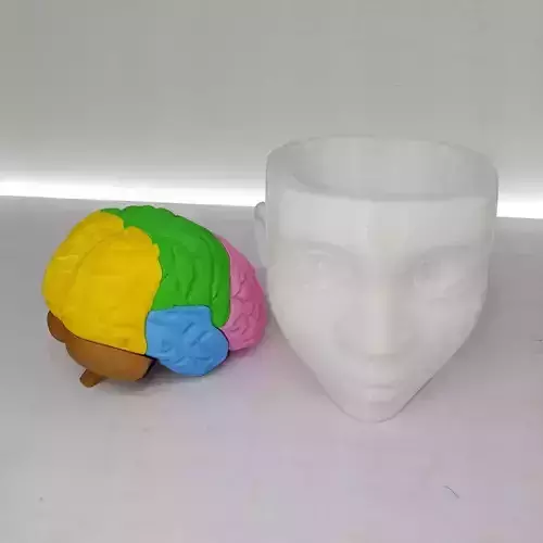 removable brain Multiparts decorative statue