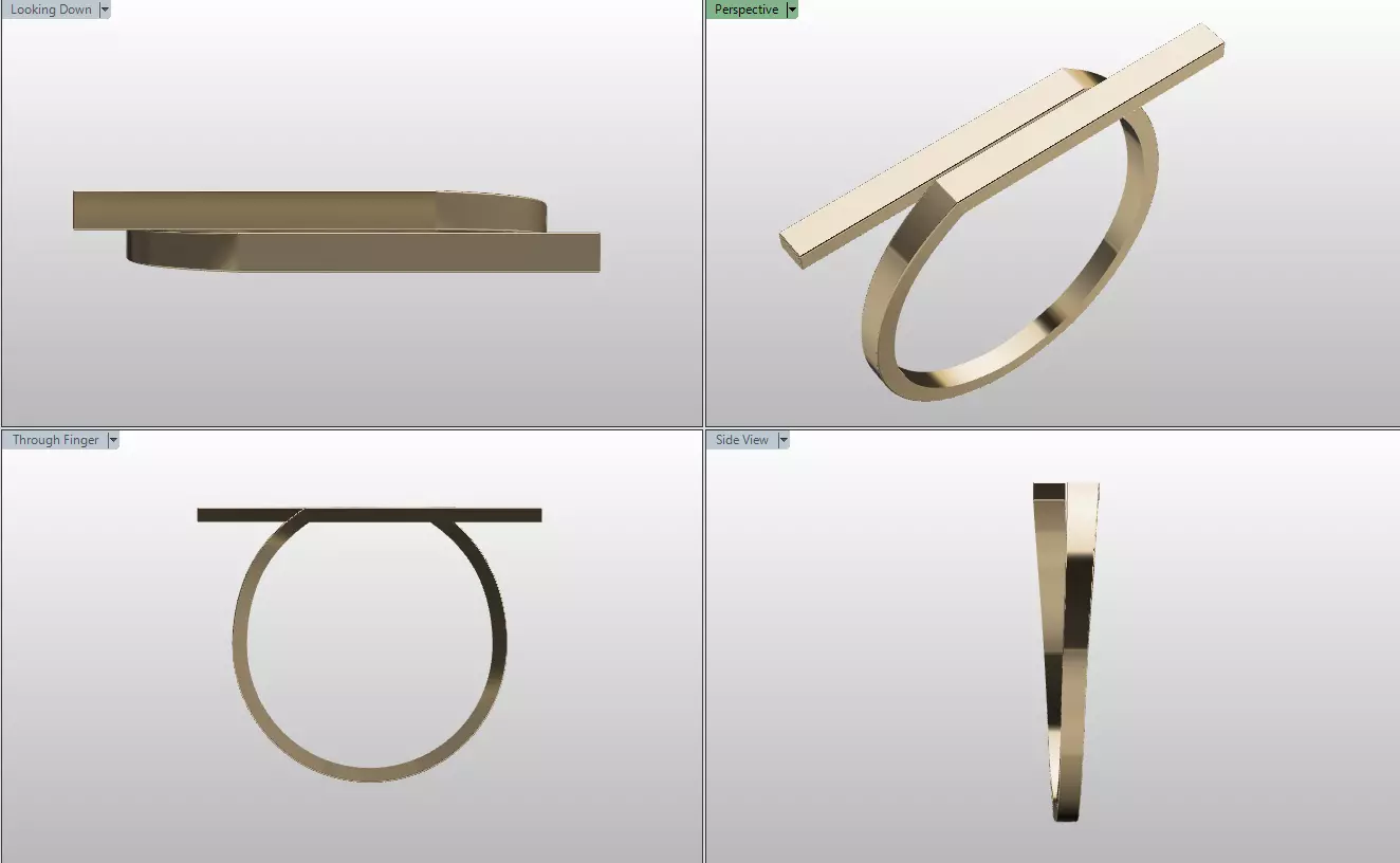 Long Bar Ring Free 3D print model