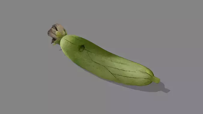 Luffa