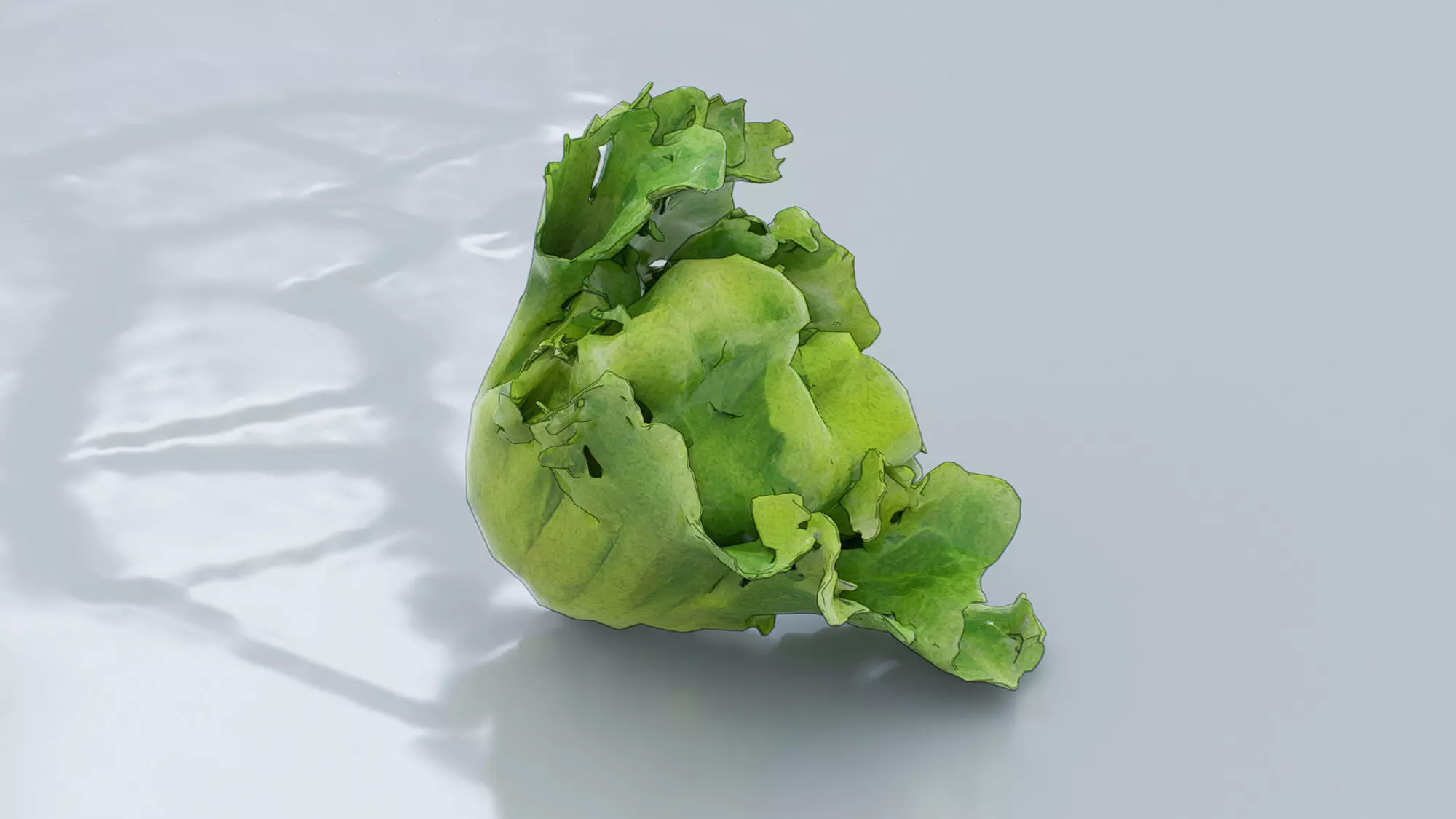 Lettuce Low-poly 3D model