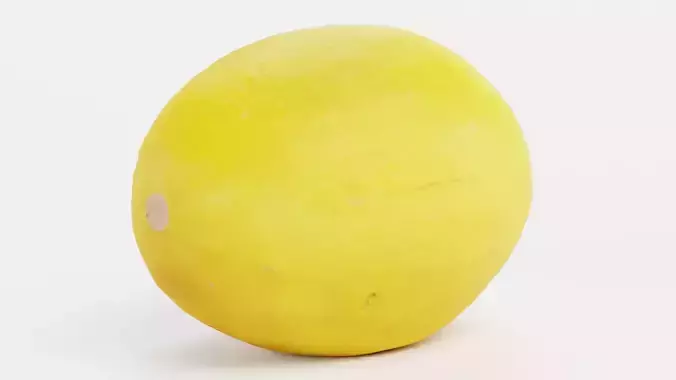 Sweet Yellow Melon - Realistic Fruit 3D model 3