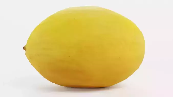 Sweet Yellow Melon - Realistic Fruit 3D model 5