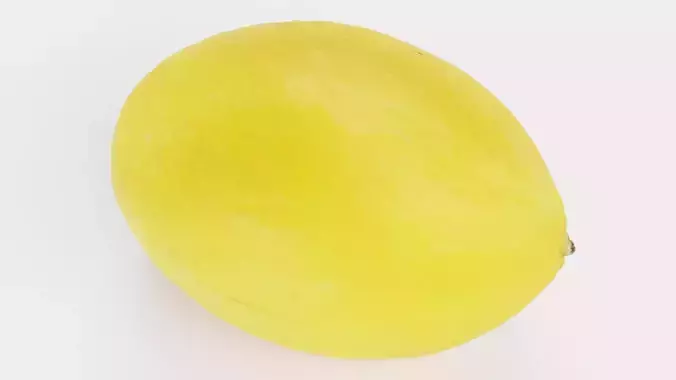 Sweet Yellow Melon - Realistic Fruit 3D model 7