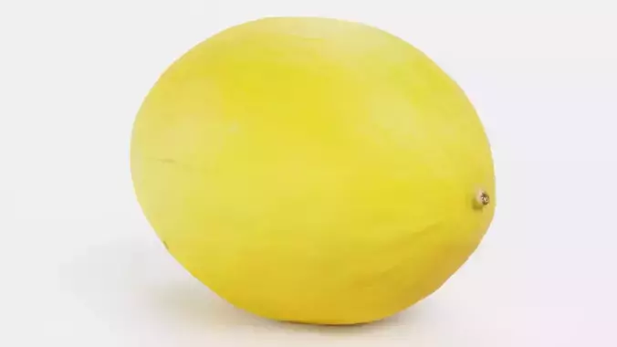 Sweet Yellow Melon - Realistic Fruit