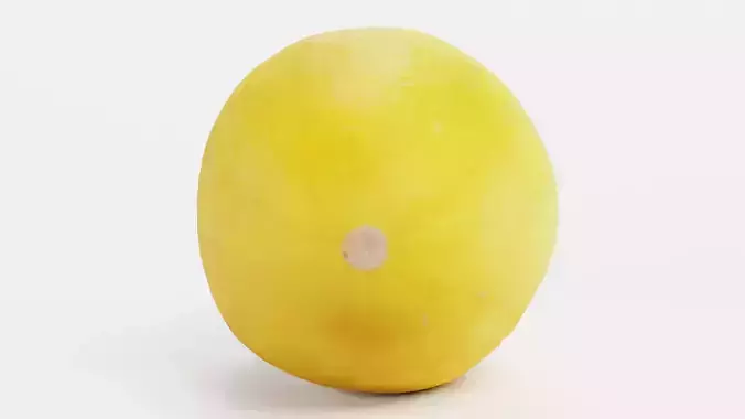 Sweet Yellow Melon - Realistic Fruit 3D model 4